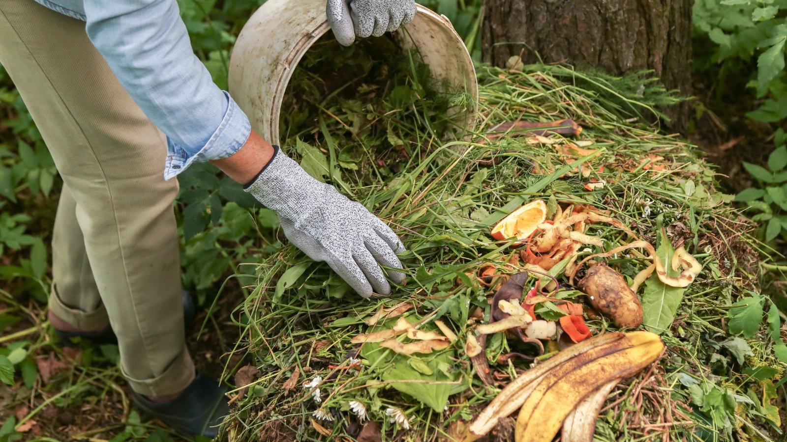 A person wearing gloves and work clothes tips over a large container filled with kitchen scraps, adding them to a grassy pile at the base of a tree.