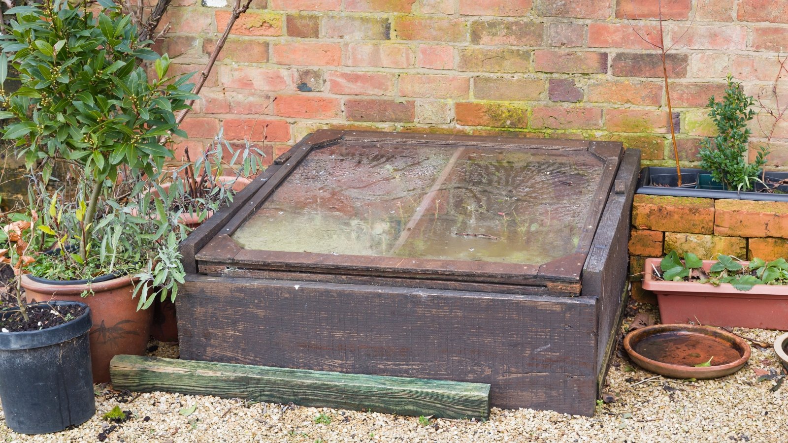 A wooden cold frame with a sturdy rectangular structure has a clear, hinged lid allowing sunlight to reach the plants inside while providing insulation and protection from the elements.
