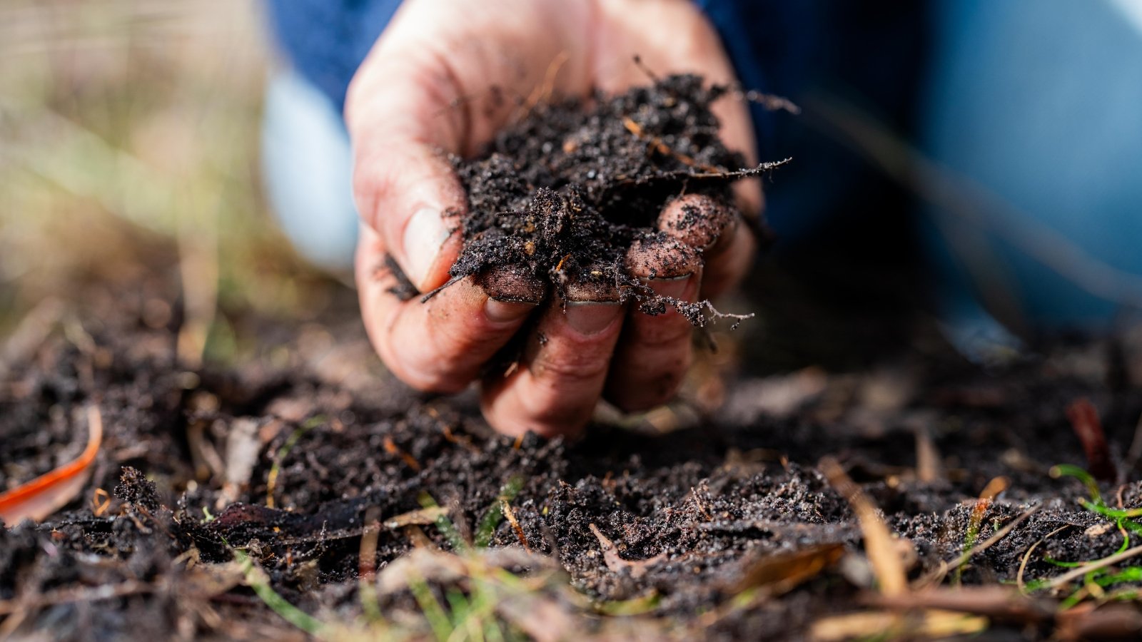 How Quick Does Compost Flip Into Soil?