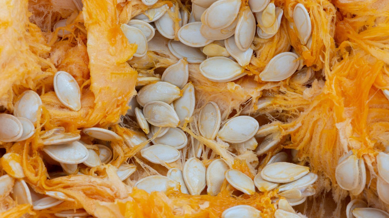 A close-up shot of seeds and flesh of an autumn squash all mixed up together